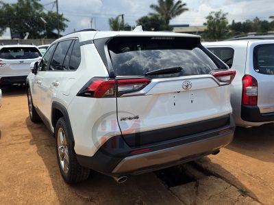 2019 TOYOTA RAV4