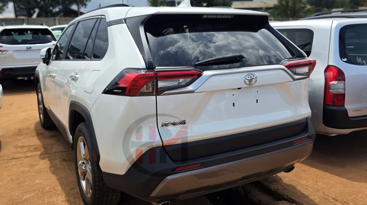 2019 TOYOTA RAV4
