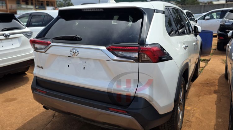 2019 TOYOTA RAV4