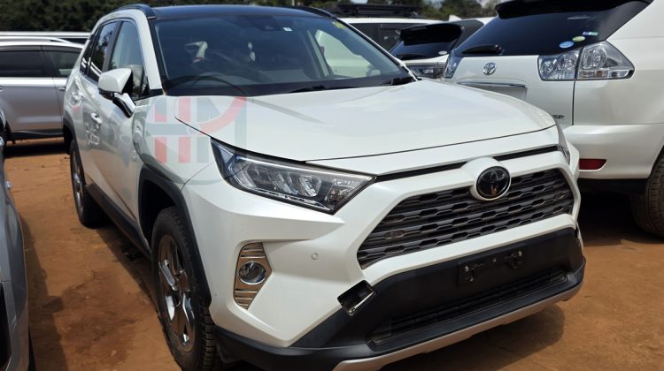 2019 TOYOTA RAV4