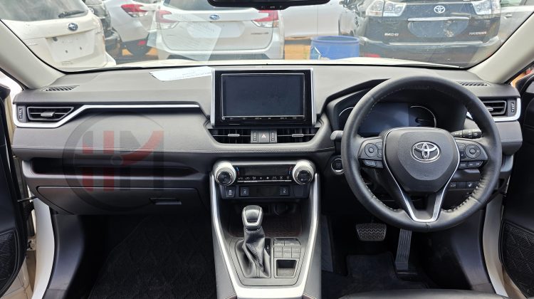 2019 TOYOTA RAV4