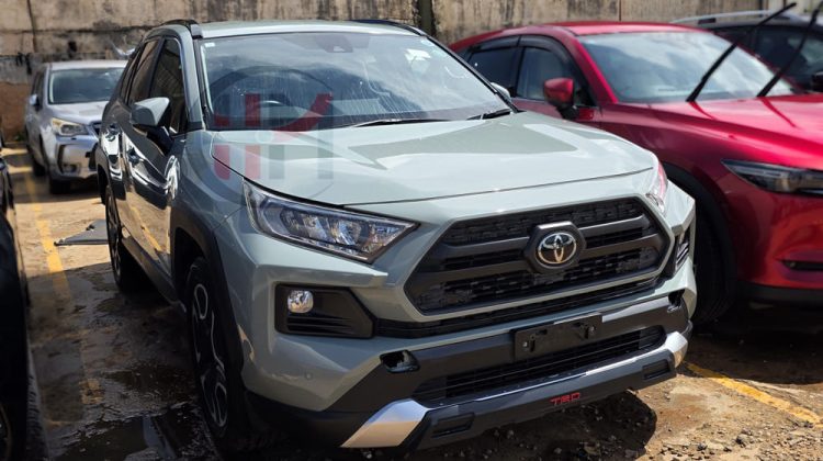 2019 TOYOTA RAV4 ADVENTURE