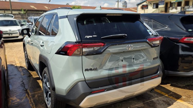 2019 TOYOTA RAV4 ADVENTURE